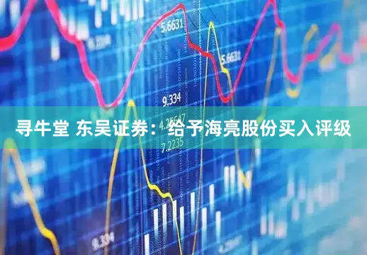 寻牛堂 东吴证券：给予海亮股份买入评级