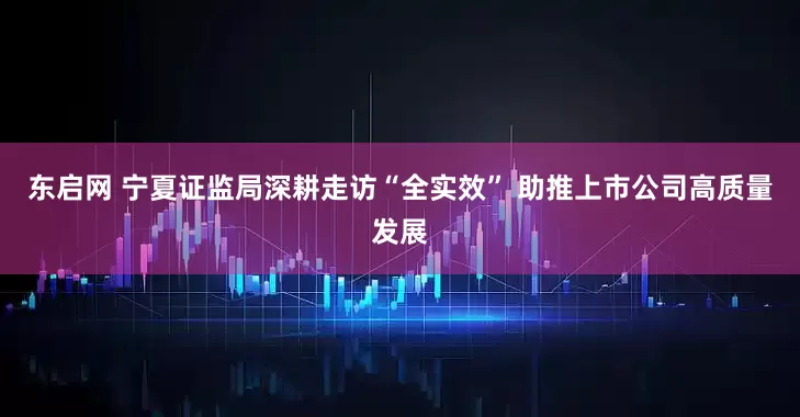 东启网 宁夏证监局深耕走访“全实效” 助推上市公司高质量发展